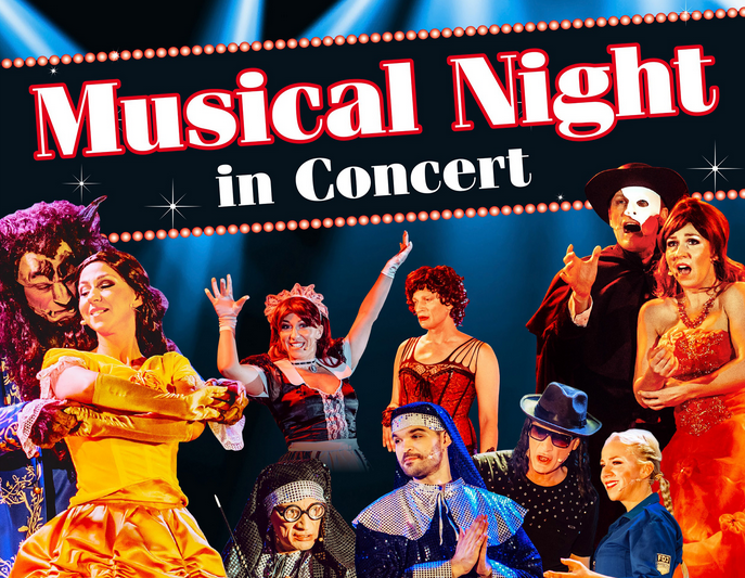 Musical Night in Concert