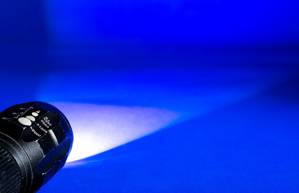 Taschenlampenführung zu Halloween