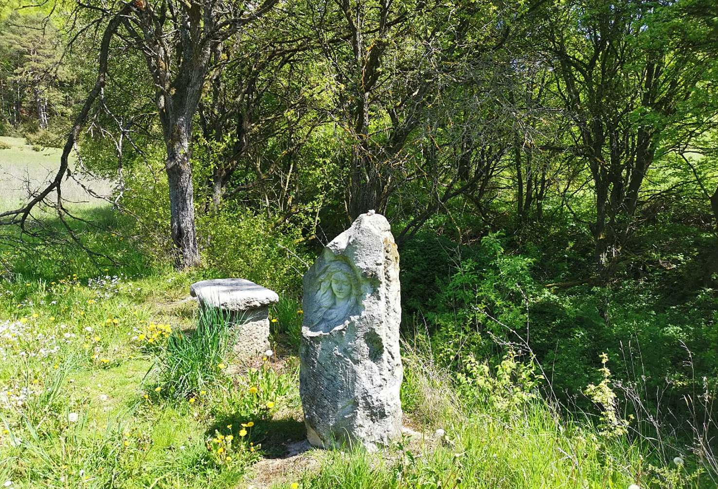 Wandern mit Gerd: Tour zum Jungfernstein