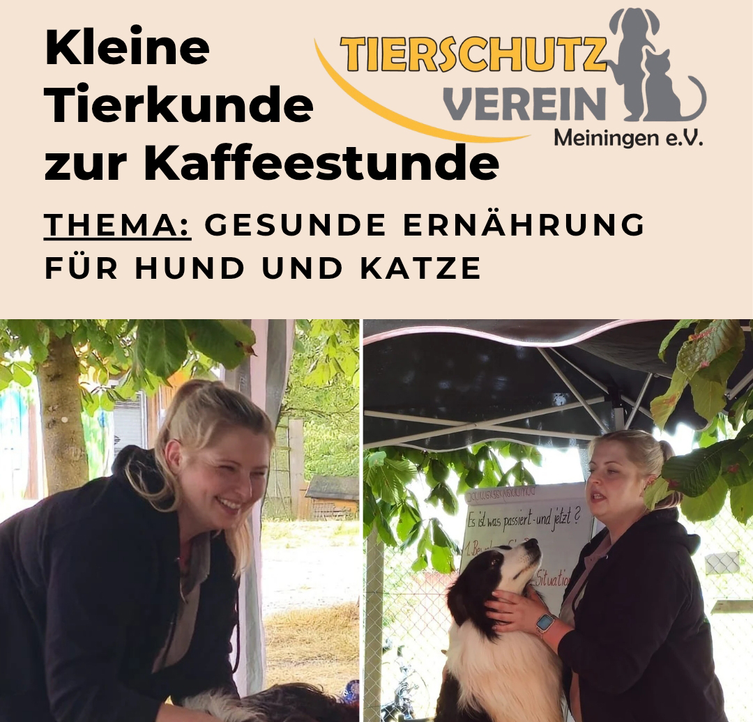 Ernährungstipps für Bello und Mauz - Kleine Tierkunde zur Kaffeestunde 