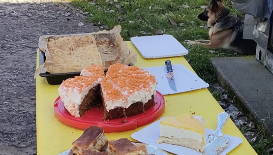 Osterkaffee im Meininger Tierheim