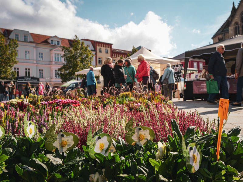 Traditioneller Herbstmarkt am 05. Oktober 2025 in Meiningen